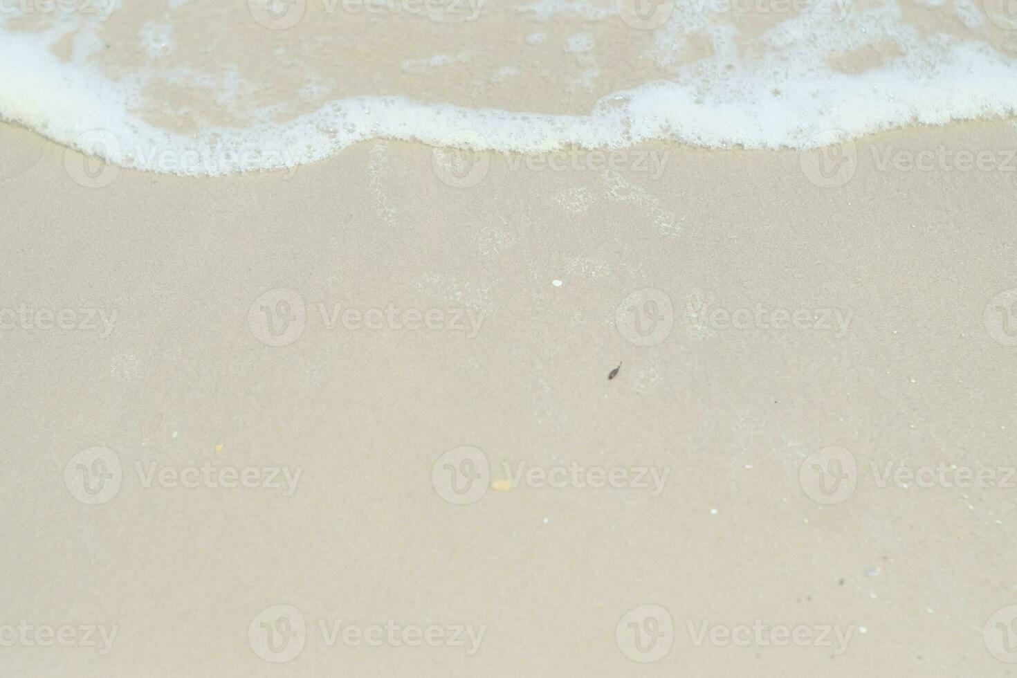 foam wave seaside beach photo