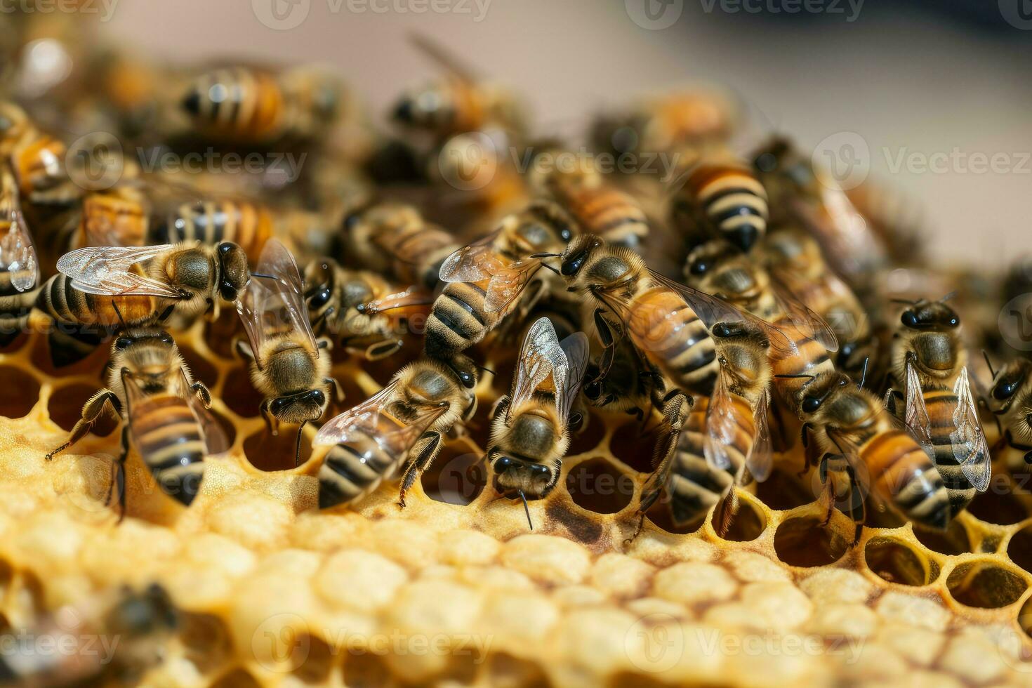 Honeybees working. Generate Ai photo