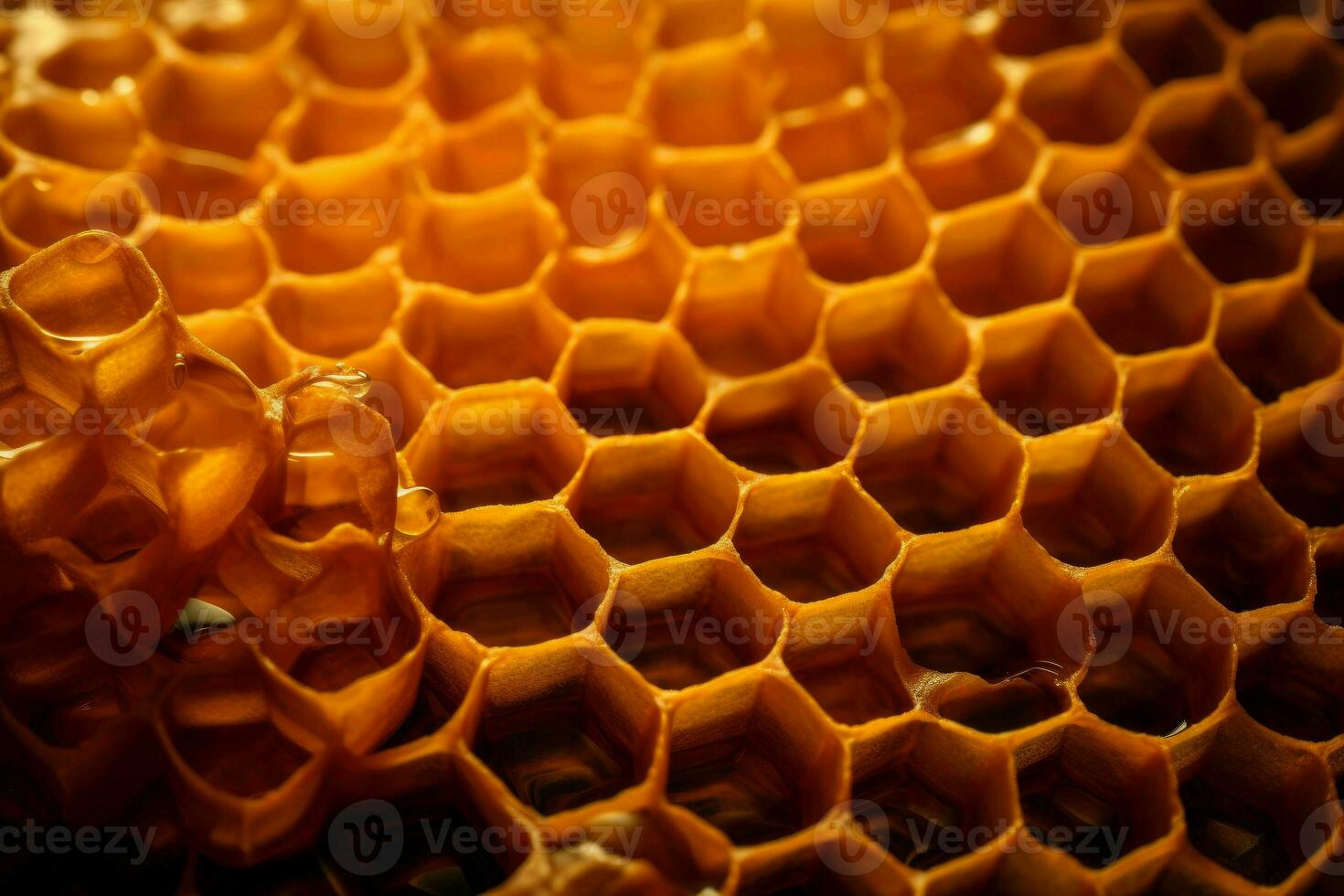 Honey comb. Generate Ai photo