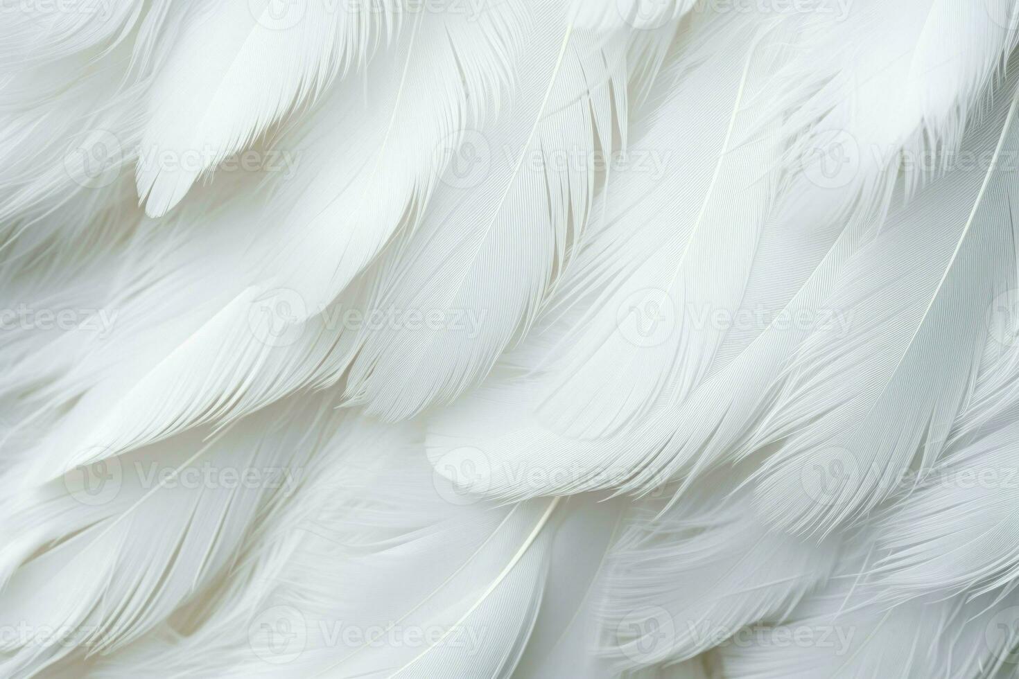 White feather pigeon pattern. Generate Ai photo