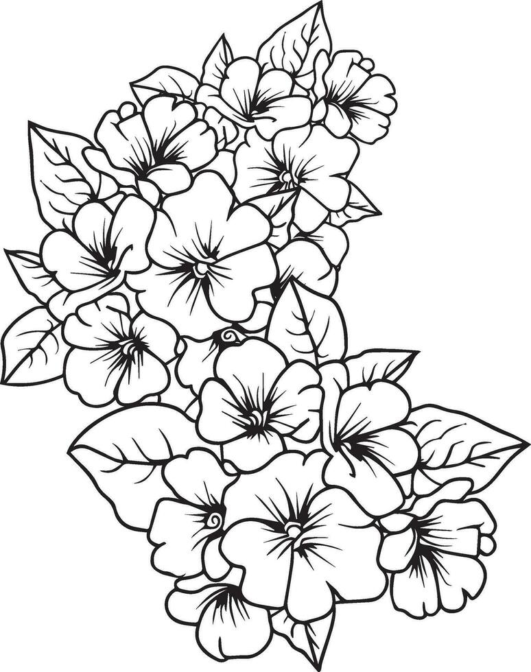 primrose tattoo, black and white vector sketch illustration of floral ornament bouquet of primula simplicity, Embellishment, zentangle design element of card of printing coloring pages, primroses