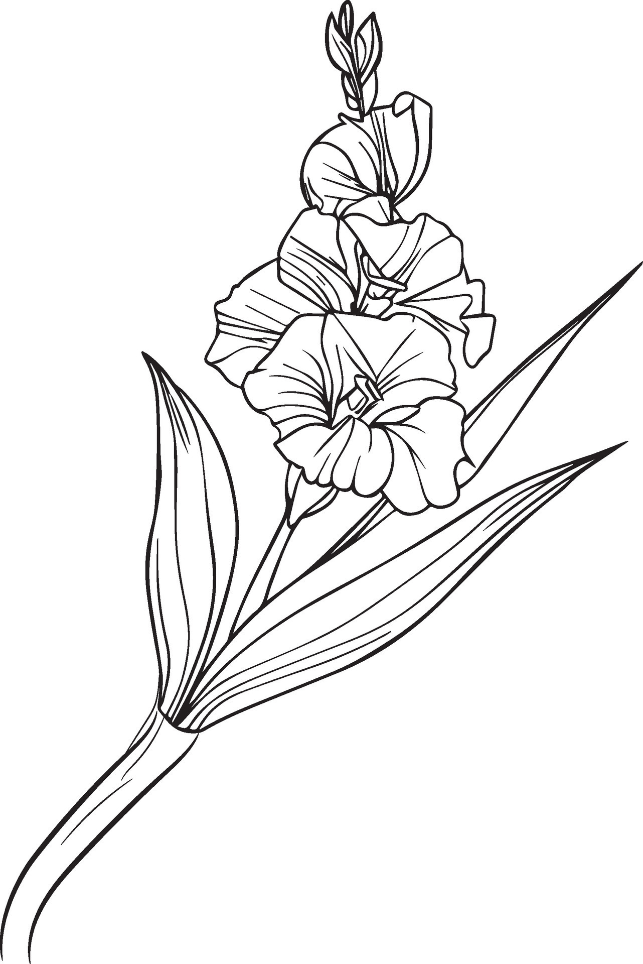 August Birth Month Flower Poppy Svg Bouquet Tattoo Design