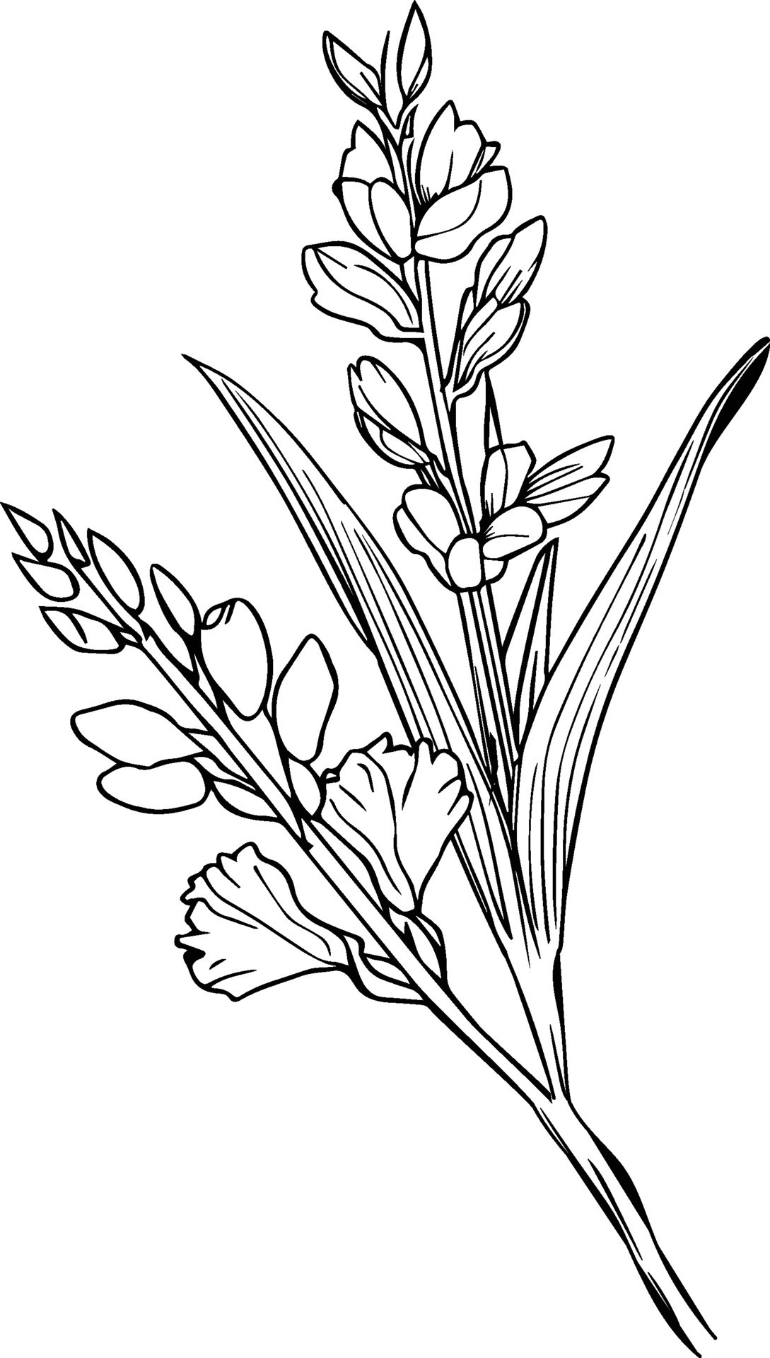 black small gladiolus tattoo, minimalist gladiolus flower tattoo, wrist gladiolus tattoo simple