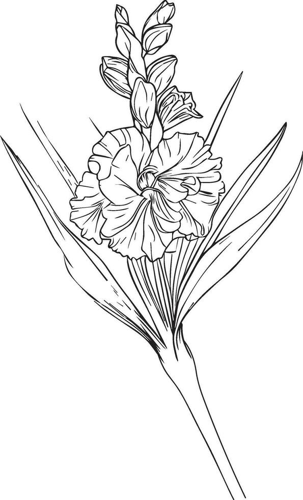 gladiolus august birth flower drawing, outline gladiolus drawing, tattoo gladiolus flower drawing, black gladiolus tattoo, black small gladiolus tattoo, minimalist gladiolus flower tattoo, vector