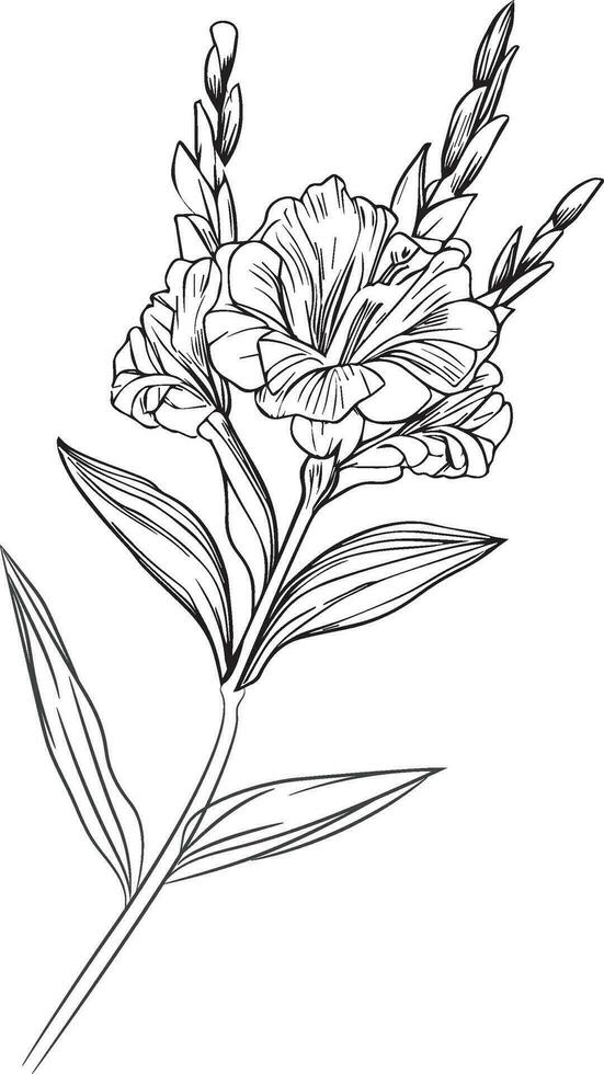 contorno gladiolo dibujo, tatuaje gladiolo flor dibujo, negro gladiolo tatuaje, negro pequeño gladiolo tatuaje, minimalista gladiolo flor tatuaje, muñeca gladiolo tatuaje simple, vector