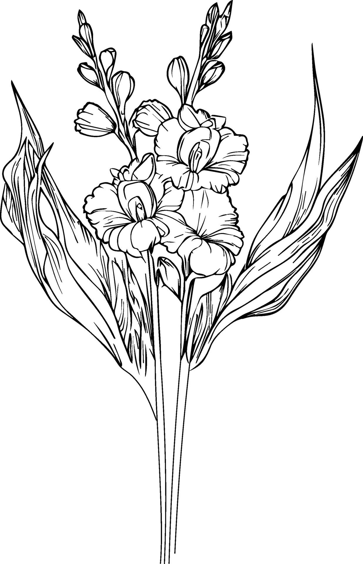 Tattoo Gladiolus - ptmcvme