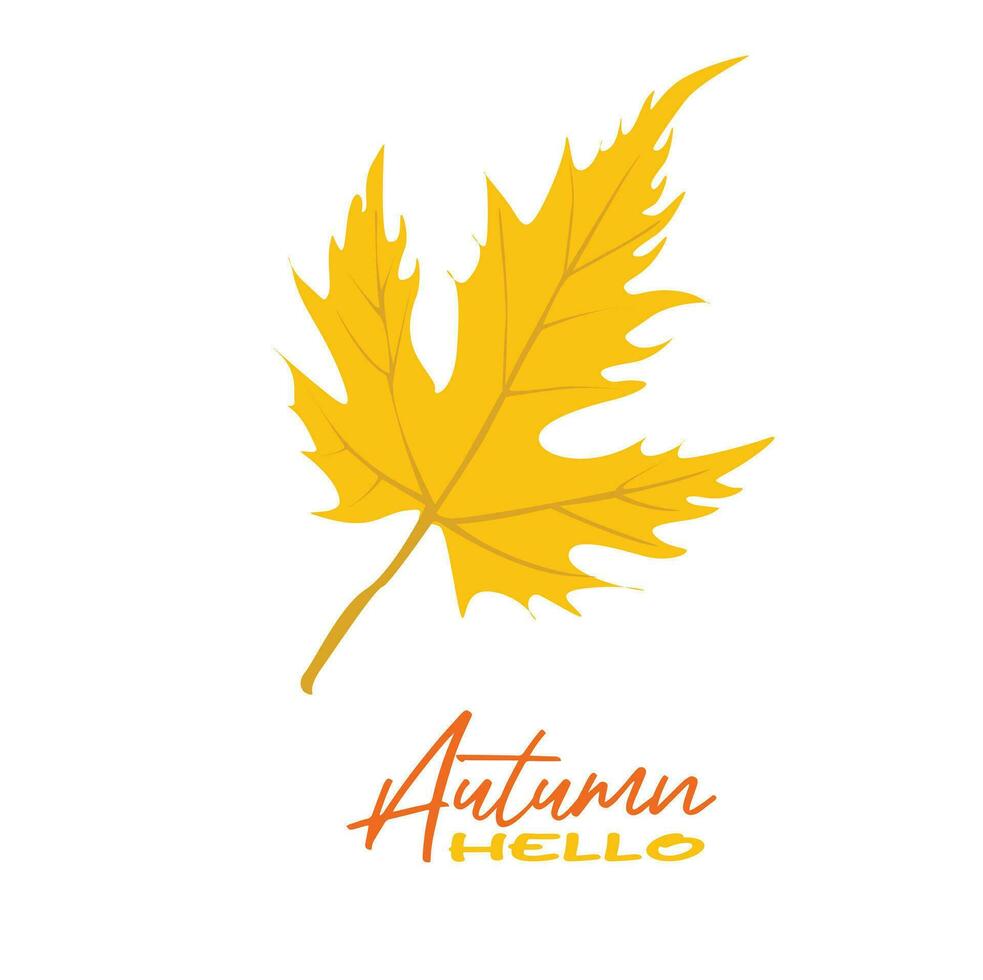 Autumn maple leaves vector illustration.  Autumn  leaves design template for decoration, sale banner, advertisement, greeting card and media content. Autumn concept. Flat vector isolated on white.