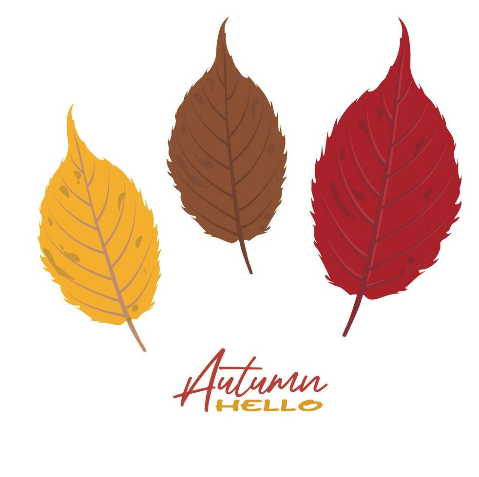Autumn birch leaves vector illustration.  Autumn  leaves design template for decoration, sale banner, advertisement, greeting card and media content. Autumn concept. Flat vector isolated on white.