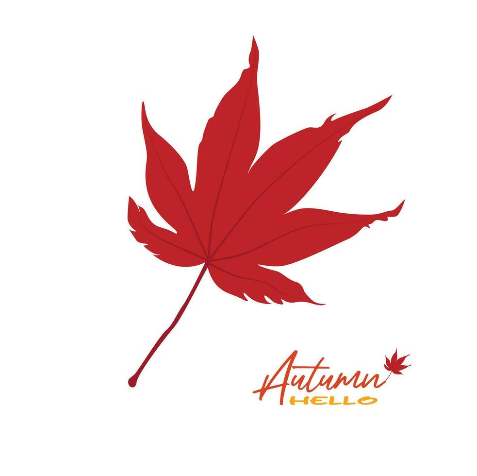 Autumn maple leaves vector illustration.  Autumn  leaves design template for decoration, sale banner, advertisement, greeting card and media content. Autumn concept. Flat vector isolated on white.