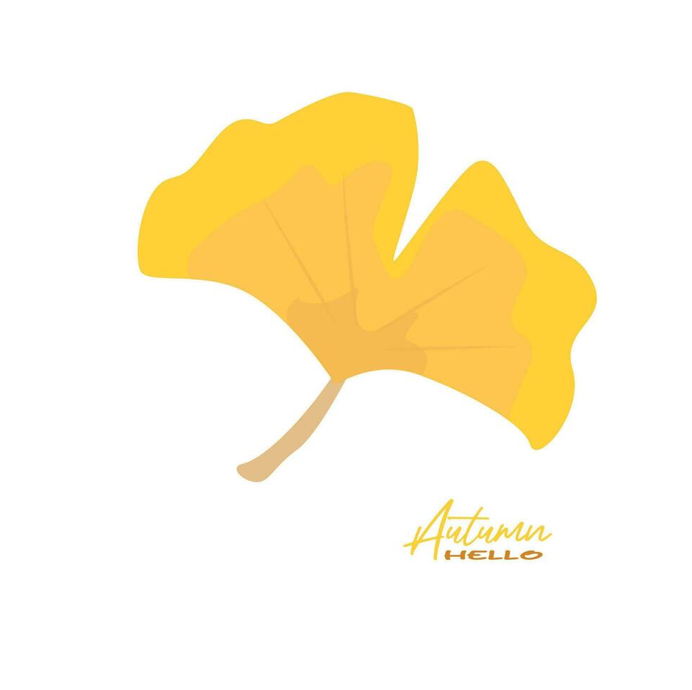 Autumn ginkgo leaves vector illustration.  Autumn  leaves design template for decoration, sale banner, advertisement, greeting card and media content. Autumn concept. Flat vector isolated on white.