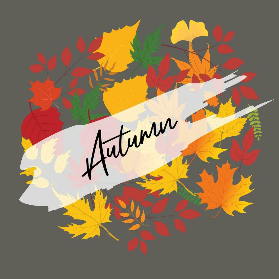 card template, autumn badges, wallpaper, welcome autumn, label design vector