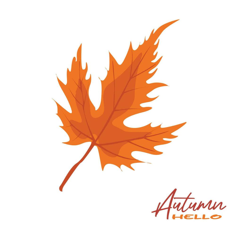 Autumn maple leaves vector illustration.  Autumn  leaves design template for decoration, sale banner, advertisement, greeting card and media content. Autumn concept. Flat vector isolated on white.