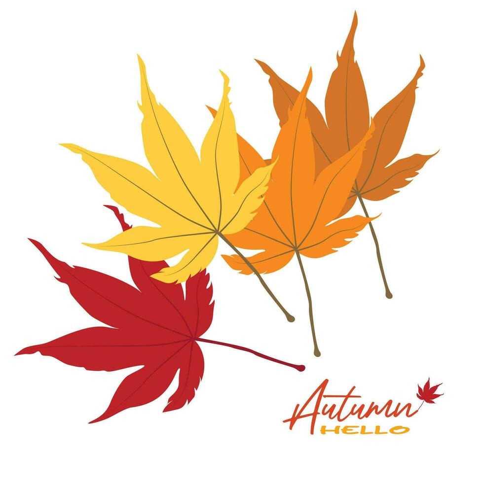 Autumn maple leaves vector illustration.  Autumn  leaves design template for decoration, sale banner, advertisement, greeting card and media content. Autumn concept. Flat vector isolated on white.