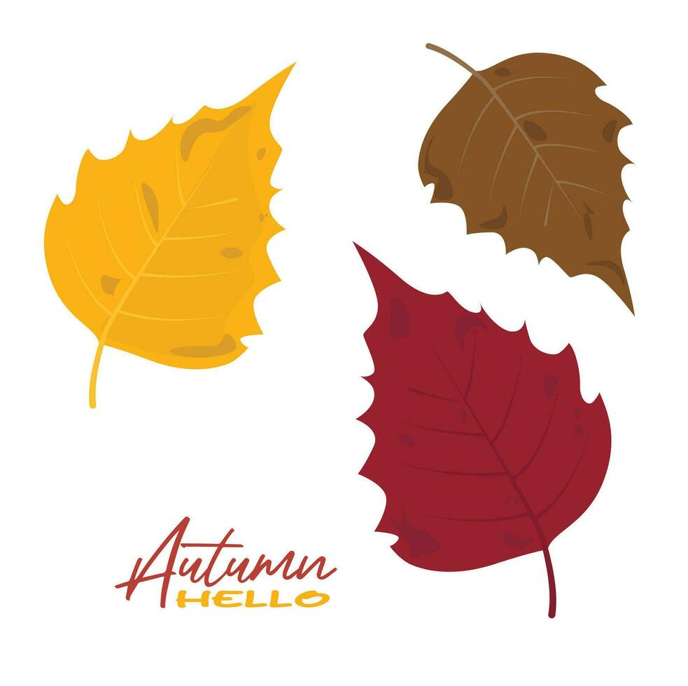 otoño álamo temblón árbol hojas vector ilustración. otoño hojas diseño modelo para decoración, rebaja bandera, anuncio publicitario, saludo tarjeta y medios de comunicación contenido. otoño concepto. plano vector aislado en blanco.