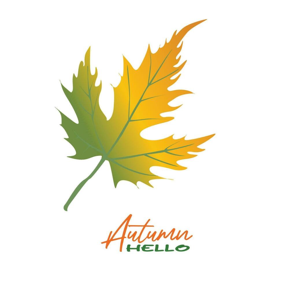 Autumn maple leaves vector illustration.  Autumn  leaves design template for decoration, sale banner, advertisement, greeting card and media content. Autumn concept. Flat vector isolated on white.