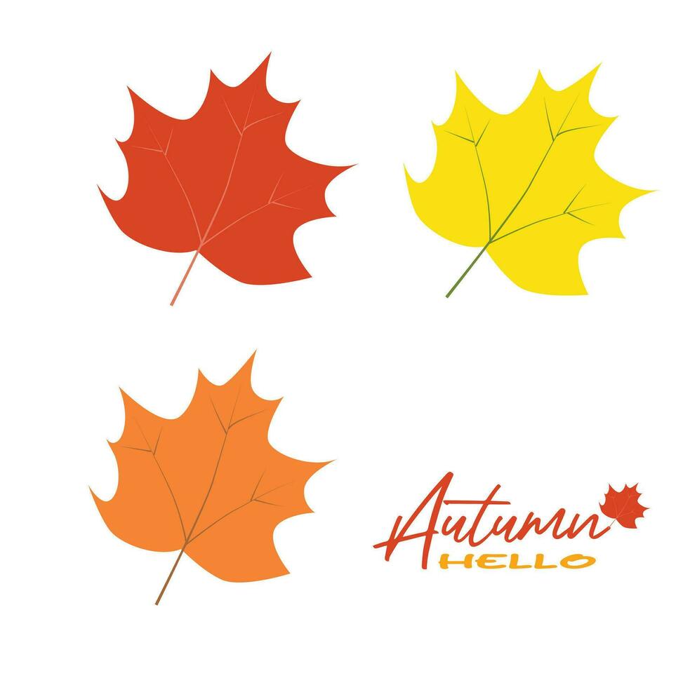 Autumn leaves vector illustration.  Autumn leaves design template for decoration, sale banner, advertisement, greeting card and media content. Autumn concept. Flat vector isolated on white.