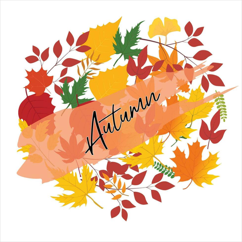 card template, autumn badges, wallpaper, welcome autumn, label design vector