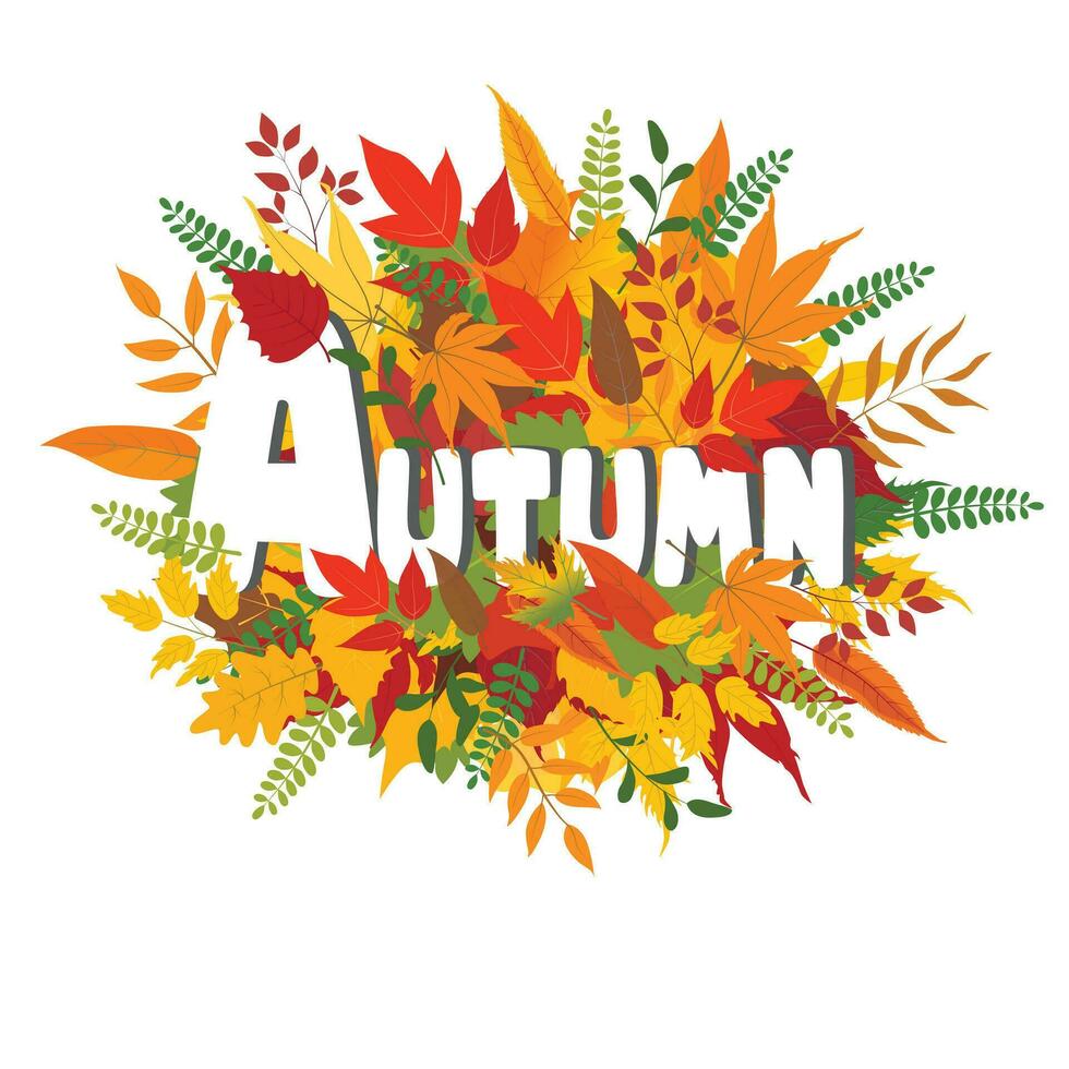 card template, autumn badges, wallpaper, welcome autumn, label design vector