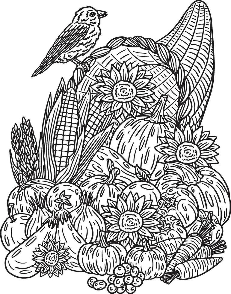 Thanksgiving Cornucopia Harvest Adults Coloring vector