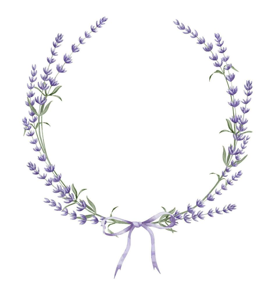 Lavender Wreath. Hand drawn watercolor illustration of round floral Frame with purple ribbon on white isolated background for greeting cards or wedding invitations. Template for postcards or logo vector