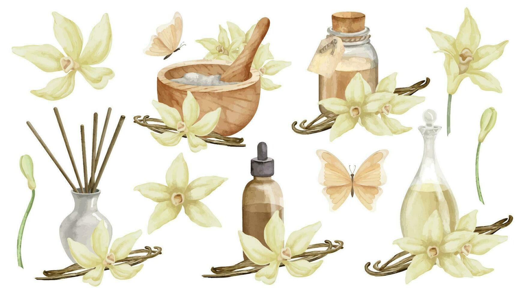 Vanilla Essential Oil with flowers and sticks. Hand drawn watercolor set of illustrations of bottles with ingredients for aroma therapy on white isolated background. Retro flacons for cosmetic flavor vector