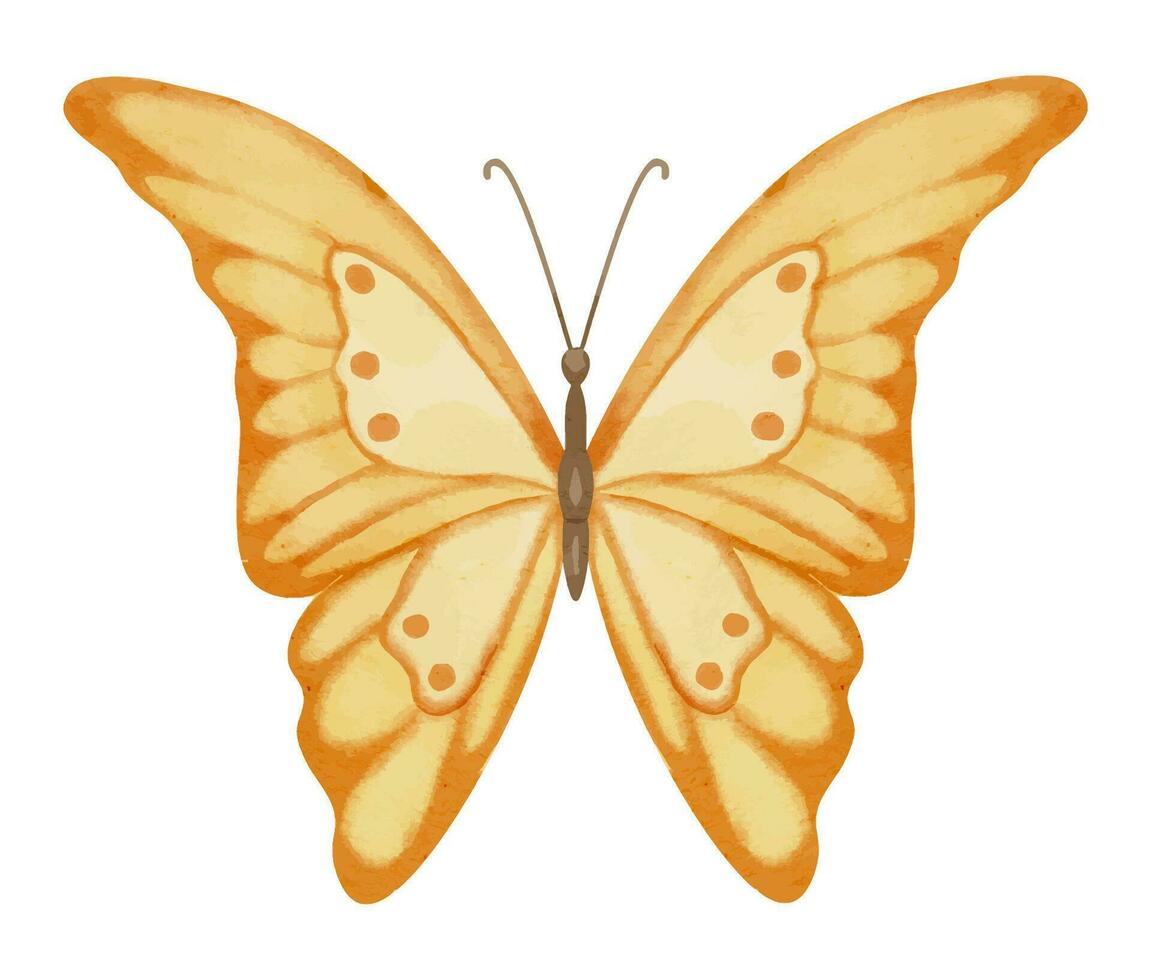 Orange Butterfly. Hand drawn watercolor illustration of yellow flying insect on white isolated background. Colorful drawing of animal for icon or logo. Sketch for greeting cards or invitations vector