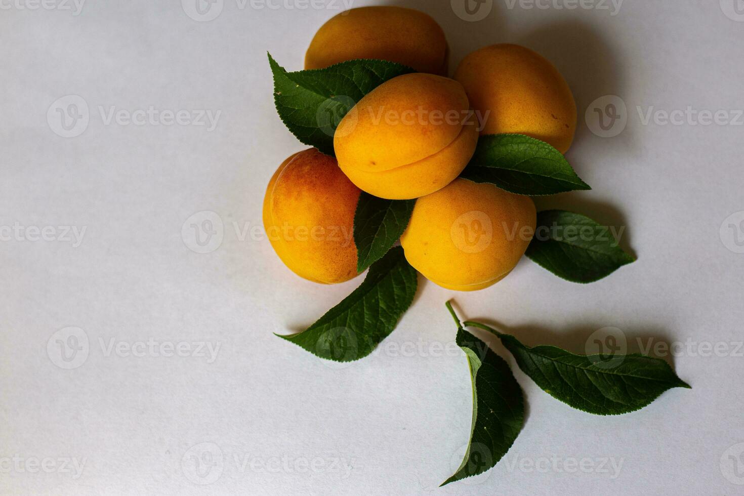 apricot with leaves photo