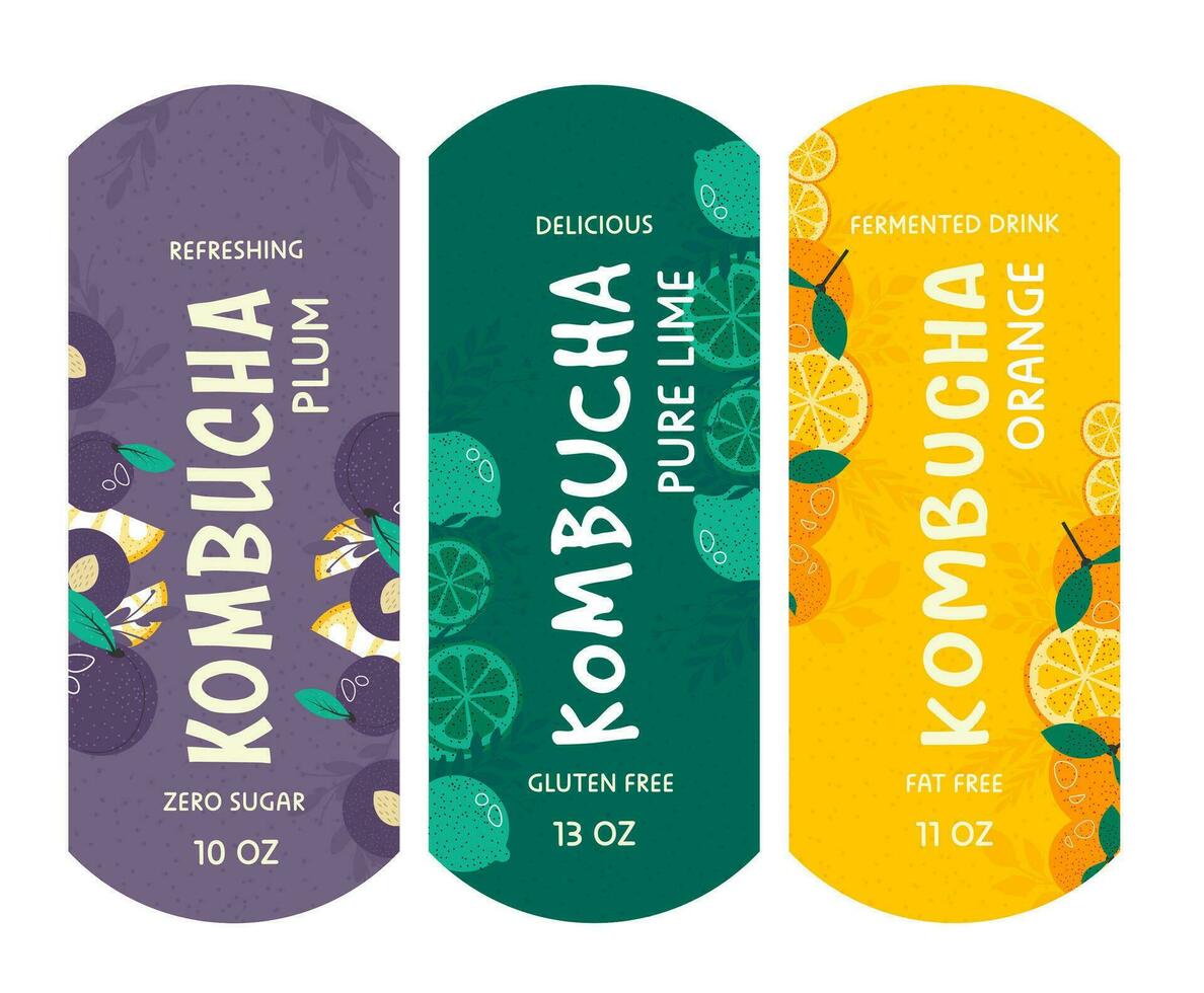 Kombucha refreshing and delicious drink package vector
