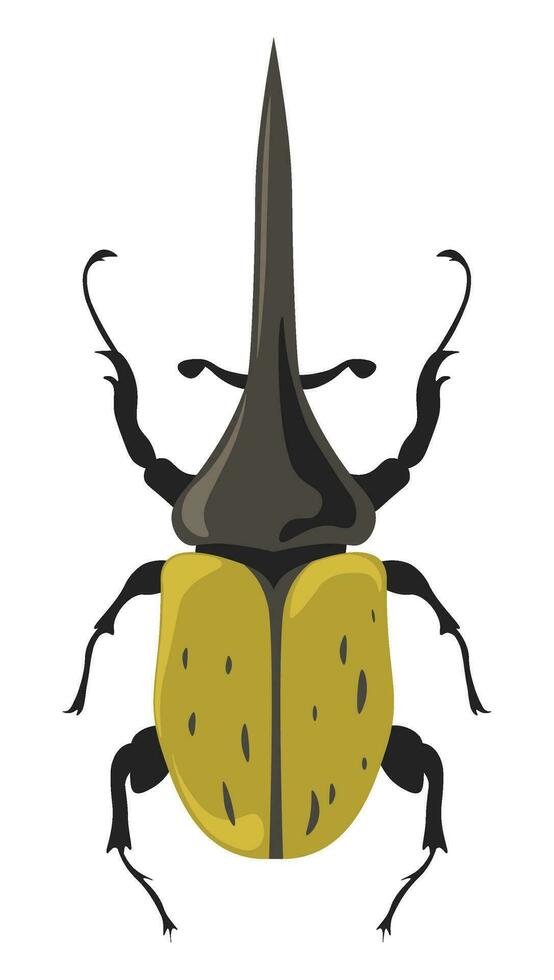 Bug Hercules beetle, Dynastes insects species vector