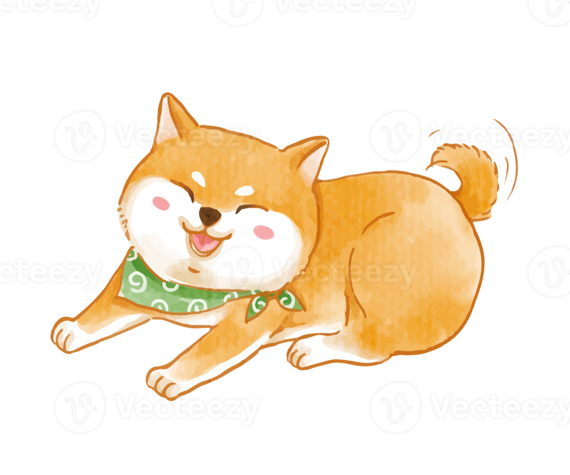 Watercolor of cute Shiba dog character png