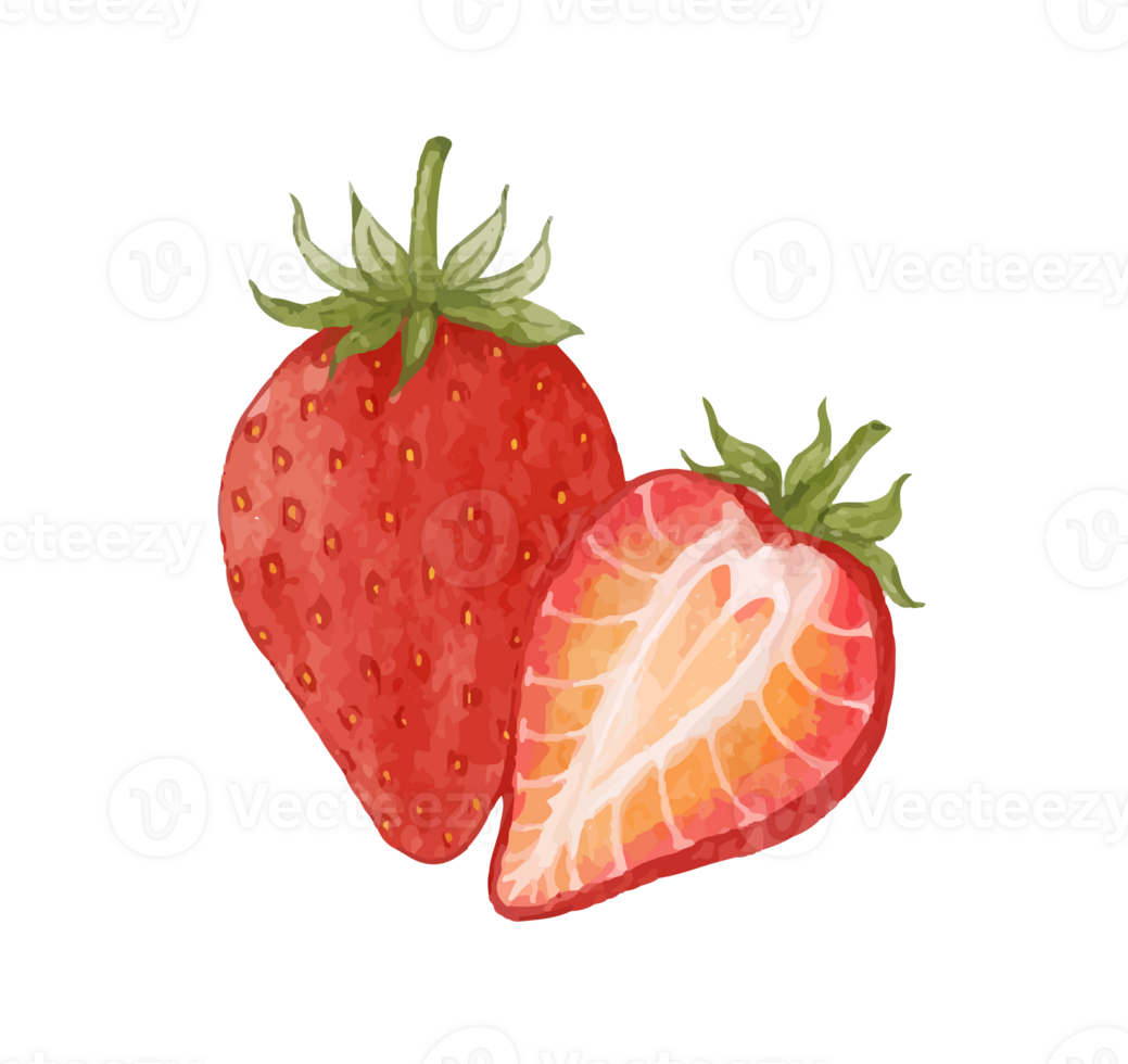 strawberry fruit watercolor png