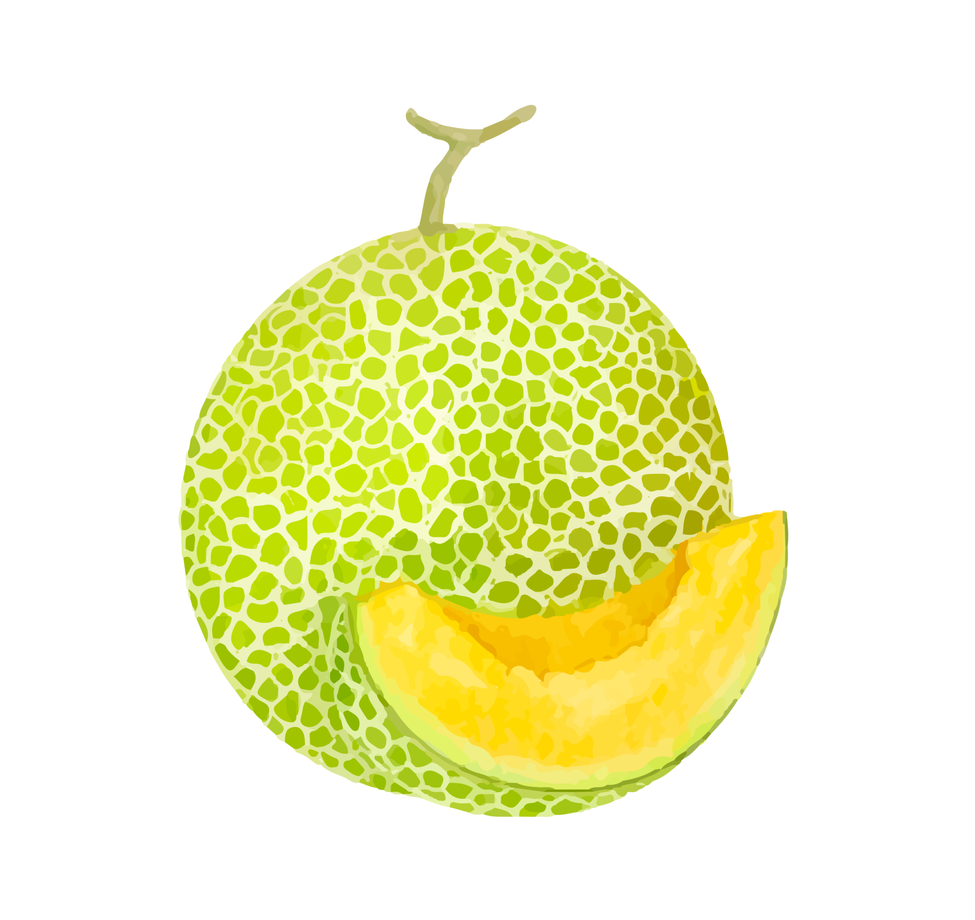 melon fruit watermelon 26495068 PNG