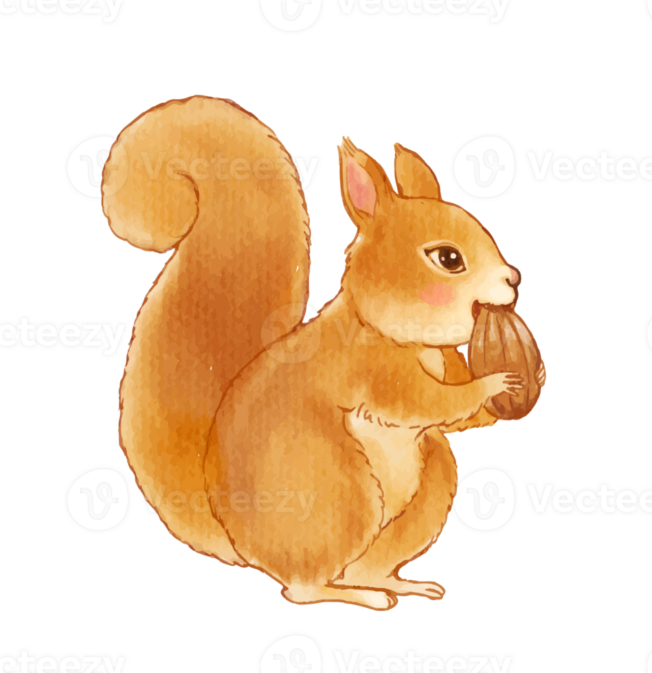 watercolor of Squirrel cartoon character png