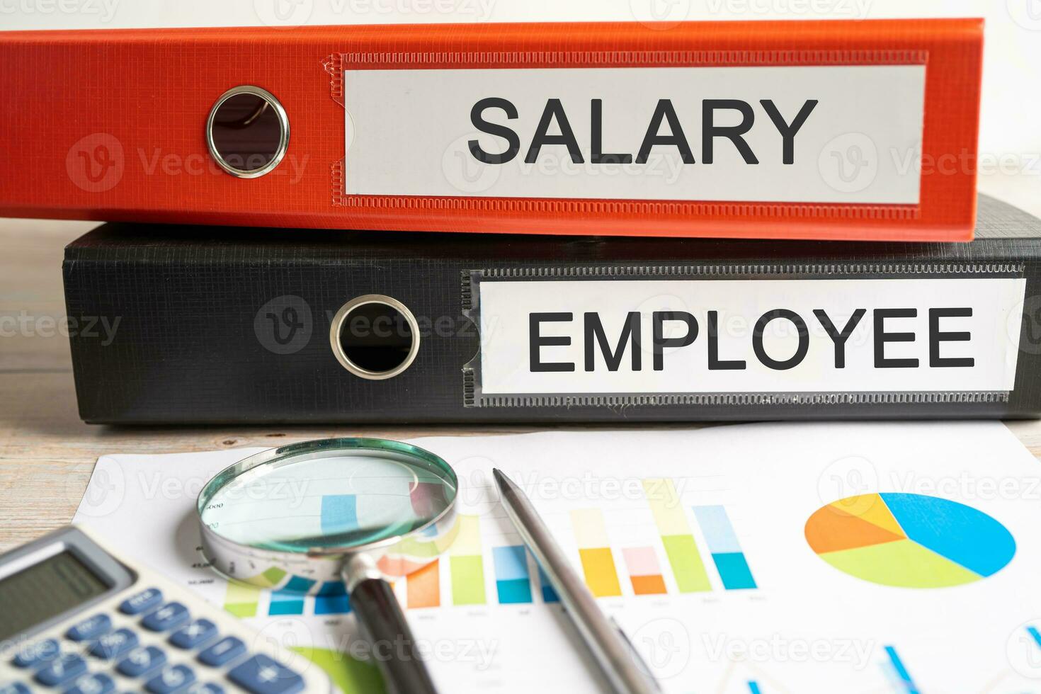 Salary, Employee. Binder data finance report business with graph analysis in office. photo