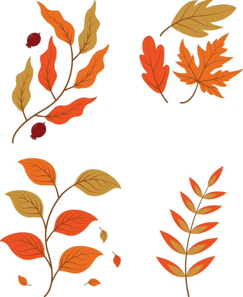 Autumn Leaves. Collection of colorful falling autumn leaves isolated on white background. Vector illustration.