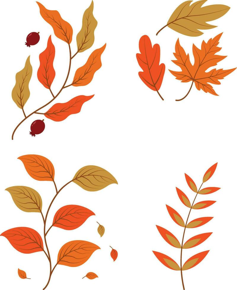 Autumn Leaves. Collection of colorful falling autumn leaves isolated on white background. Vector illustration.