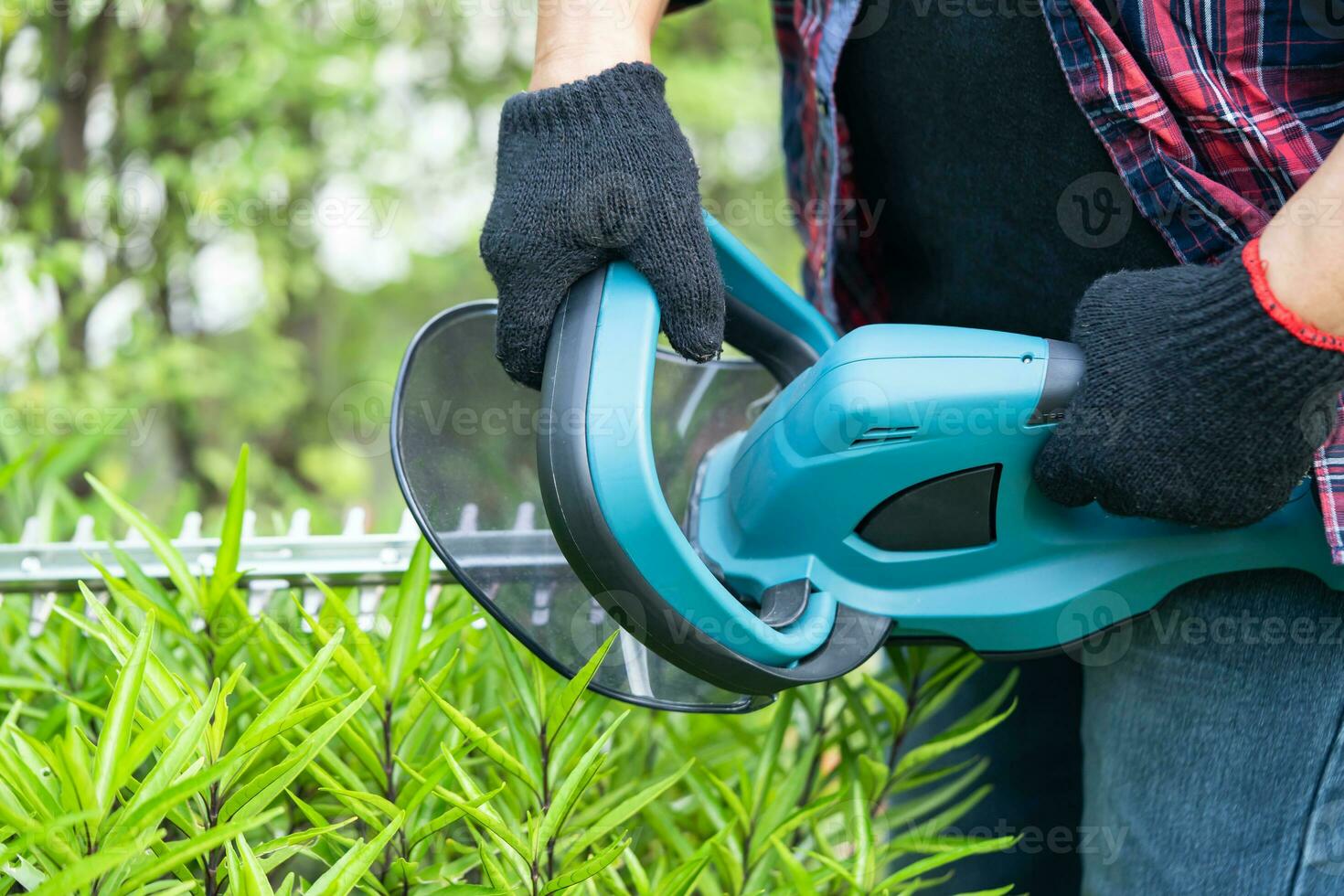 Woman taking care and growing plants, Hobby planting home garden, ornamental pruning. photo