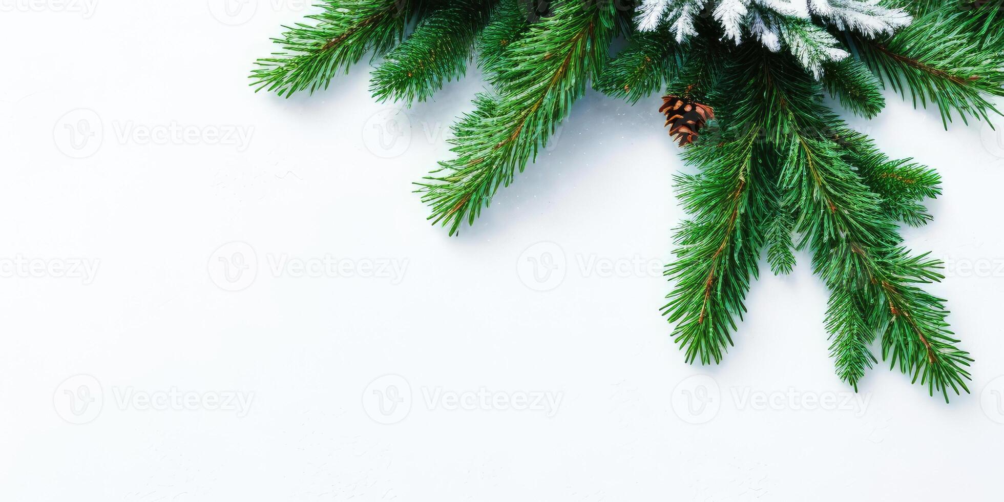 Christmas tree branches and ornaments isolated on white background,. photo