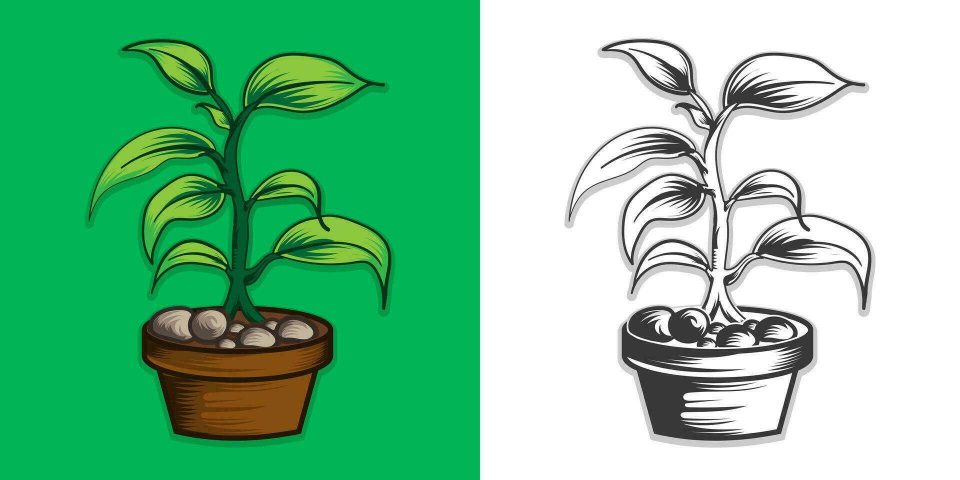 Green plant for gardening with top vector illustration