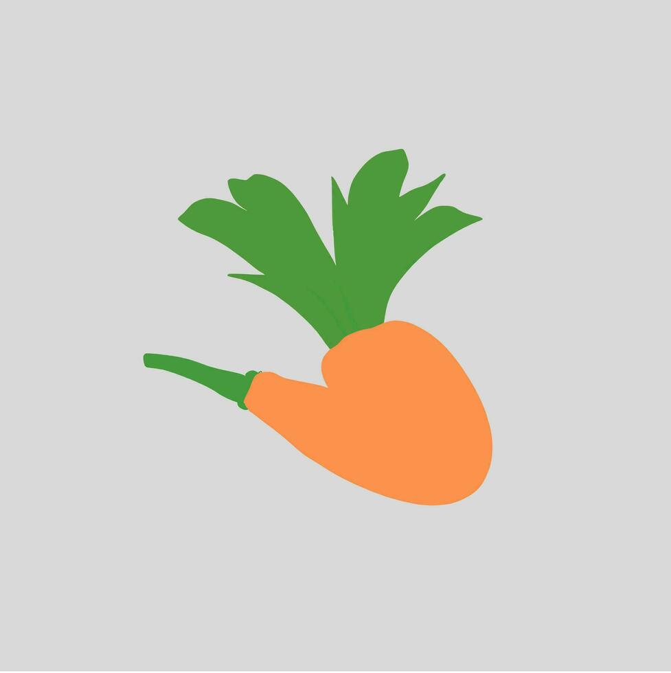 carrot vector image