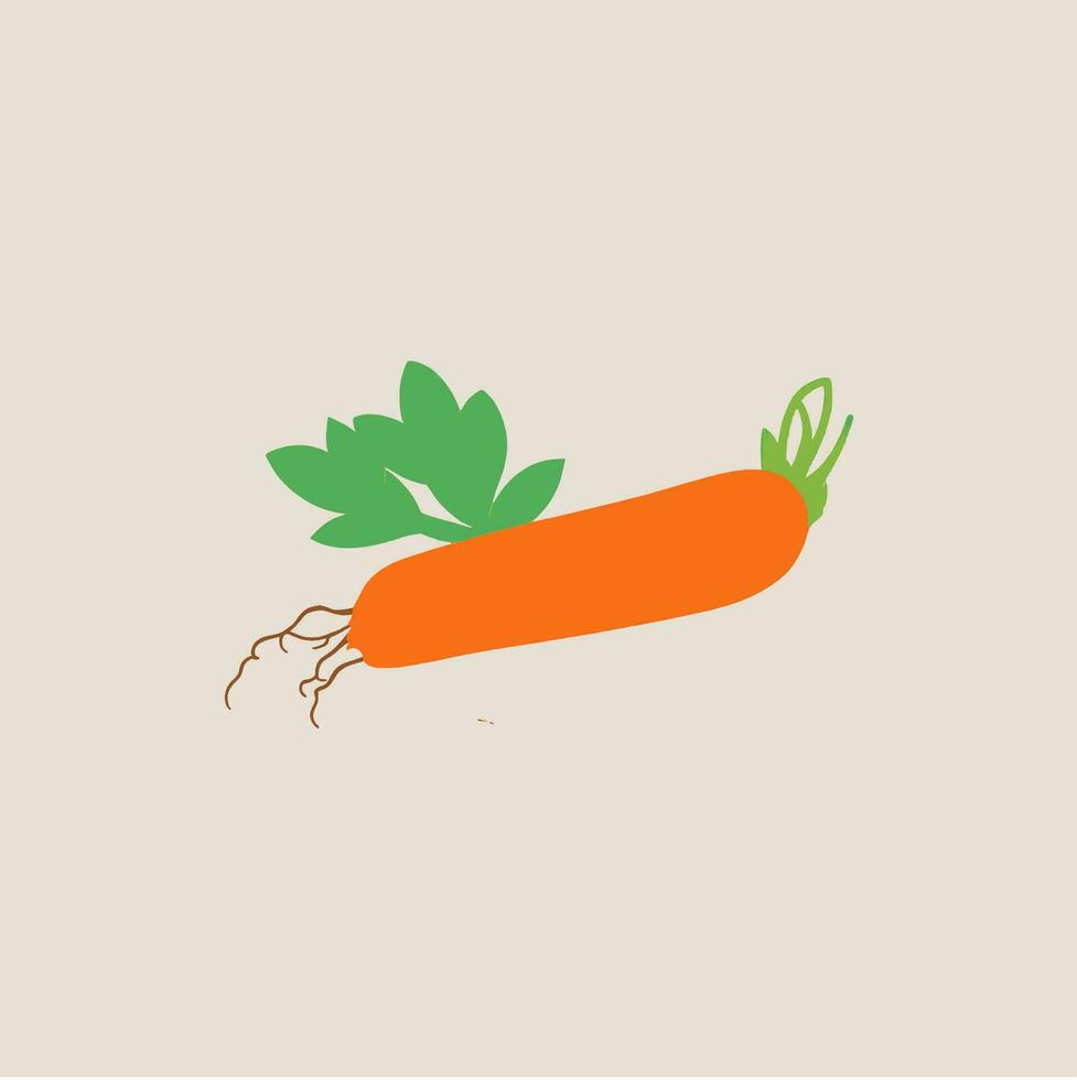 carrot vector image