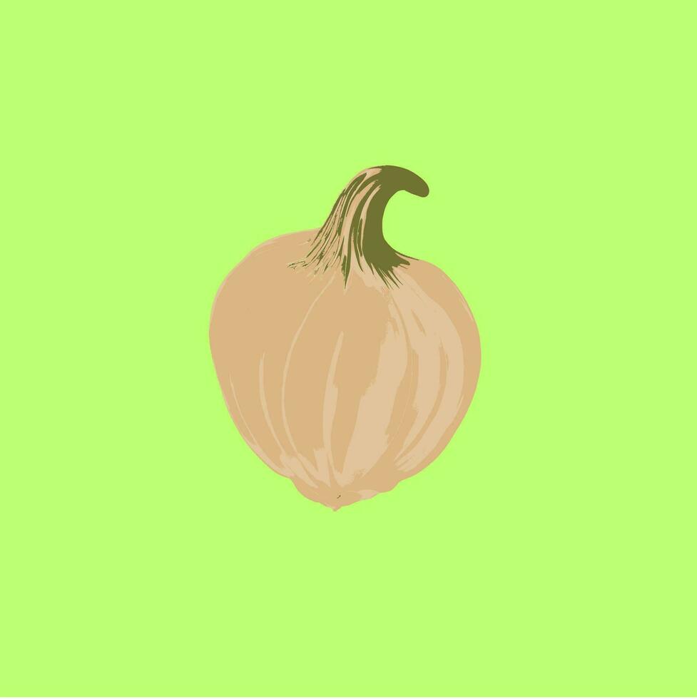 garlic vector image