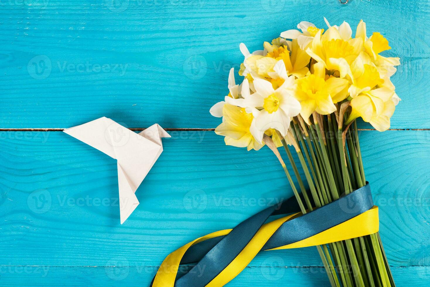 Yellow daffodils with a yellow-blue ribbon on a wooden background and a white paper's dove. Concept of Peace in Ukraine photo