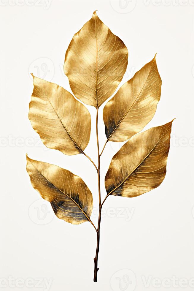 hoja dibujado con oro líneas, hoja todo en el marco. ai generativo foto