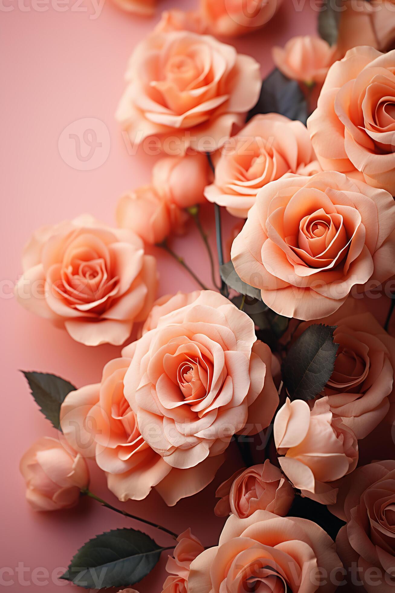 Cover page full size, soft color roses only on edges, peach background