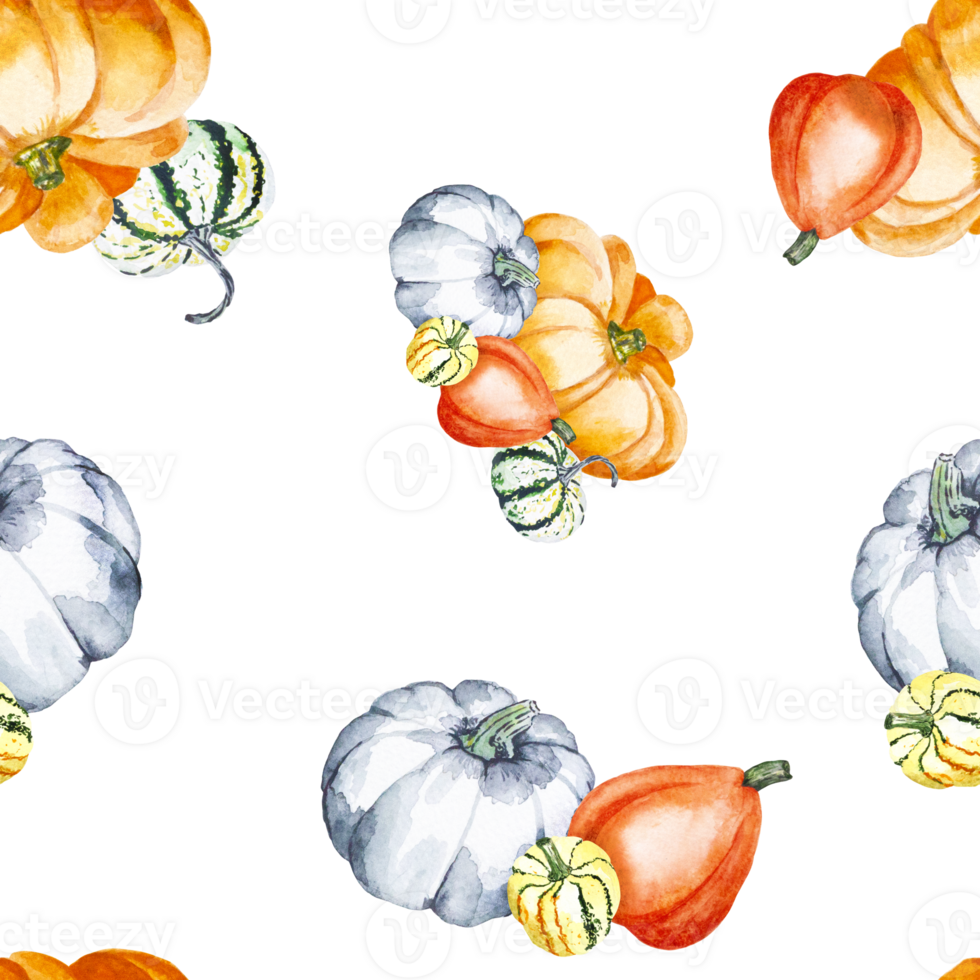 Pumpkins. Watercolor drawing of bright pumpkins. Seamless pattern with vegetables on a transparent background. Botanical illustration for your design. png