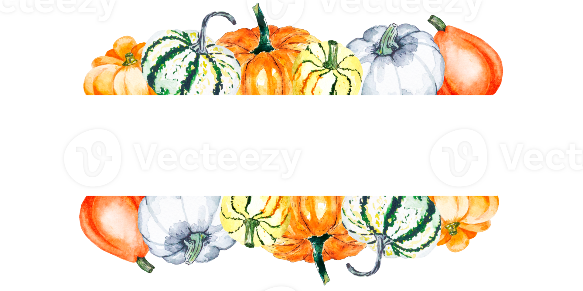 Watercolor illustration of bright pumpkins on a transparent background. Drawn watercolor frame of vegetables. png