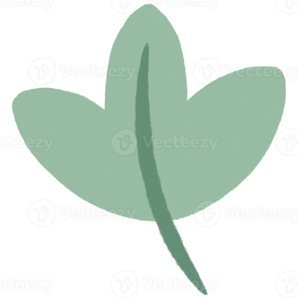 Autumn Leaf in Color png