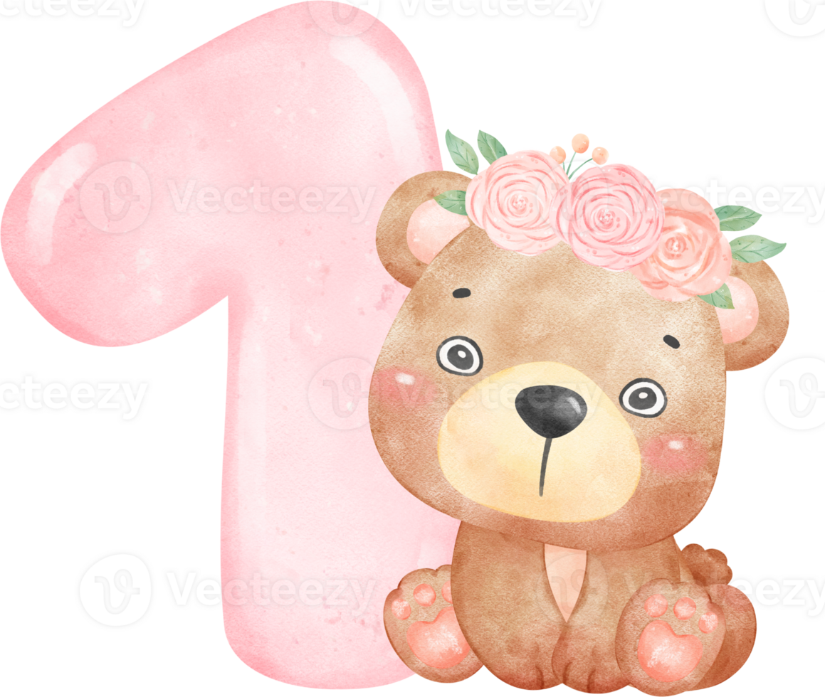 bebê Urso aniversário menina com números 1 , vestindo flor coroa, aquarela berçário png conjunto