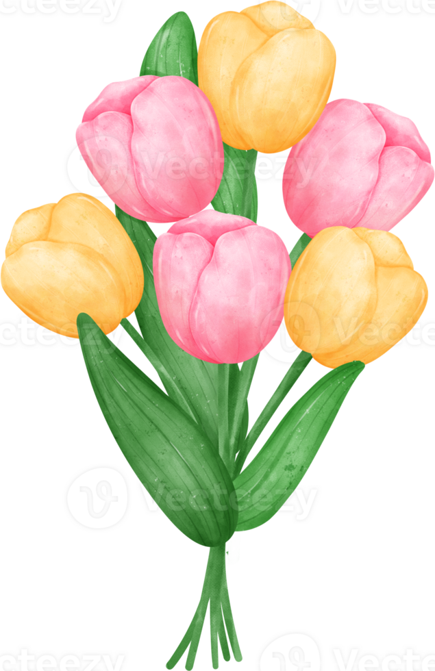 vibrant bouquet of tulip flowers with cute bow tie  in a delightful pastel watercolour hand drawing png